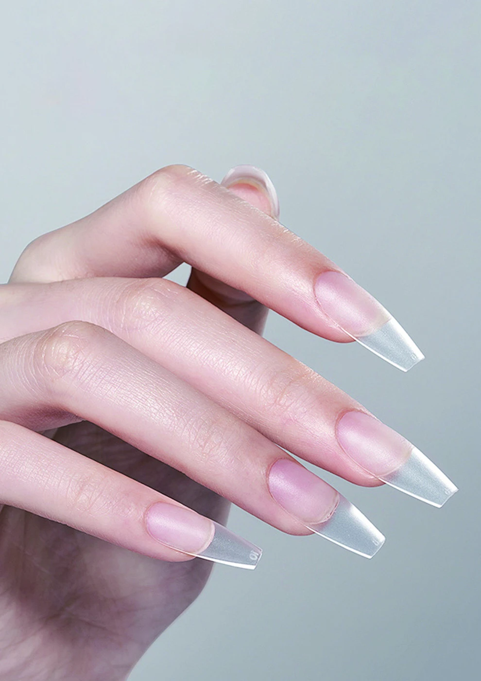 French nail tips catalog reference